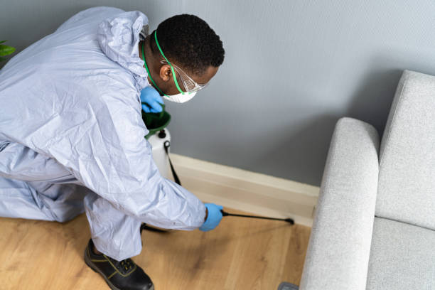 Best Residential Pest Control  in Greybull, WY